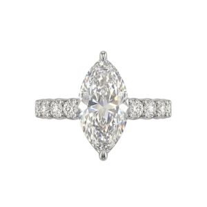 Didi Moissanite Engagement Ring